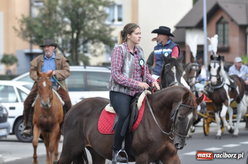 Zdjęcie w galerii na portalu naszraciborz.pl: Raciborski Hubertus 2018. Przemarsz przez miasto i pogoń za lisem wiadomości z regionu