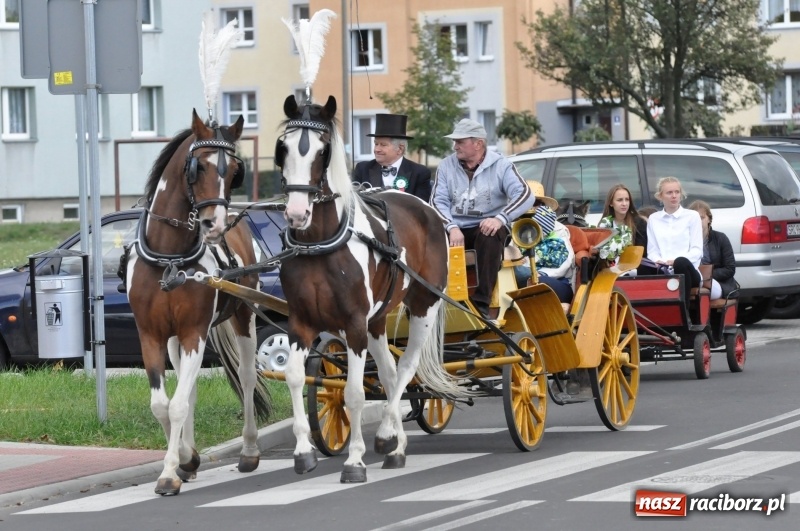 Zdjęcie w galerii na portalu naszraciborz.pl: Raciborski Hubertus 2018. Przemarsz przez miasto i pogoń za lisem wiadomości z regionu