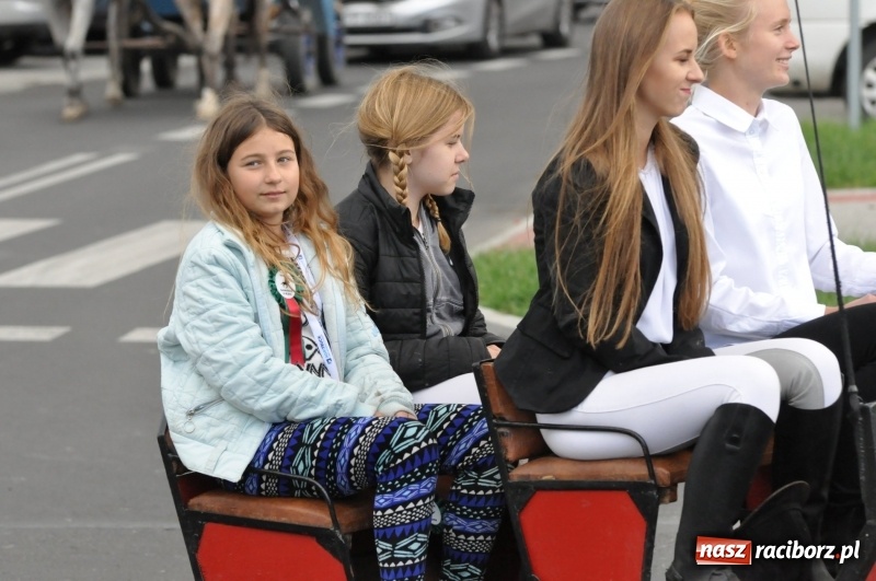 Zdjęcie w galerii na portalu naszraciborz.pl: Raciborski Hubertus 2018. Przemarsz przez miasto i pogoń za lisem wiadomości z regionu