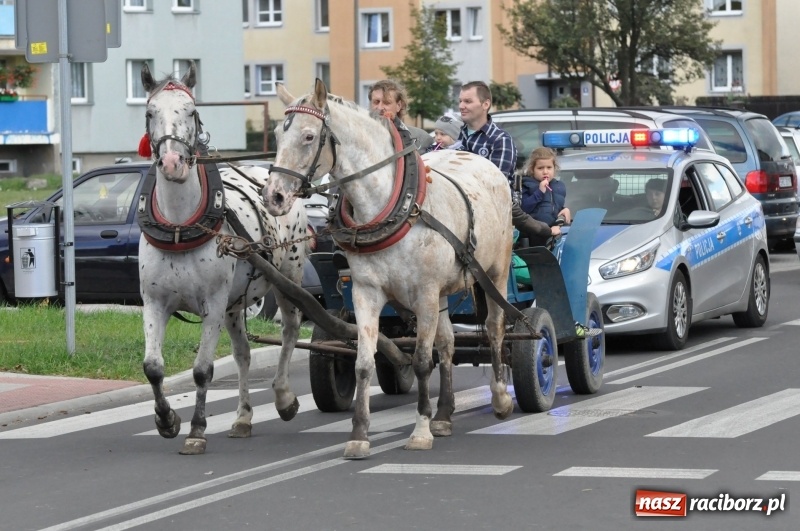 Zdjęcie w galerii na portalu naszraciborz.pl: Raciborski Hubertus 2018. Przemarsz przez miasto i pogoń za lisem wiadomości z regionu