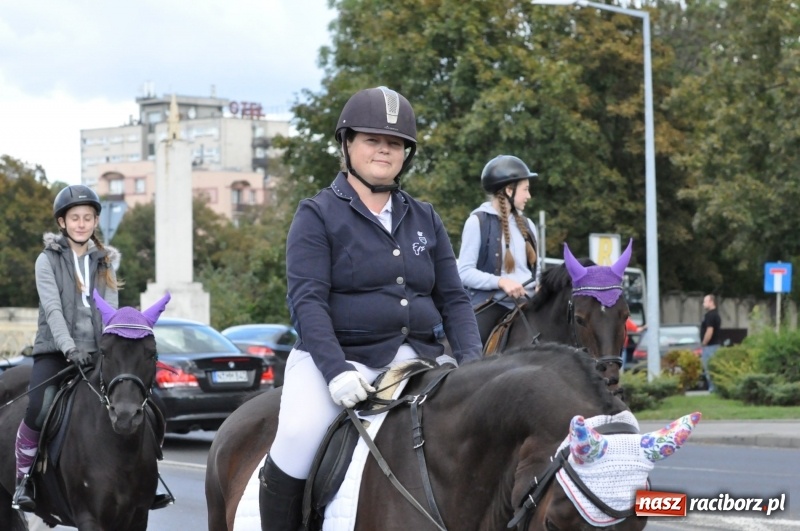 Zdjęcie w galerii na portalu naszraciborz.pl: Raciborski Hubertus 2018. Przemarsz przez miasto i pogoń za lisem wiadomości z regionu