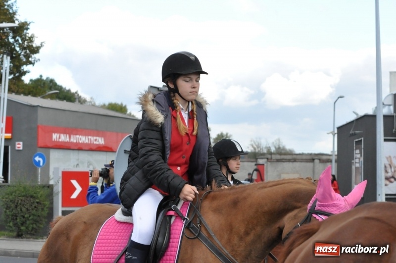 Zdjęcie w galerii na portalu naszraciborz.pl: Raciborski Hubertus 2018. Przemarsz przez miasto i pogoń za lisem wiadomości z regionu