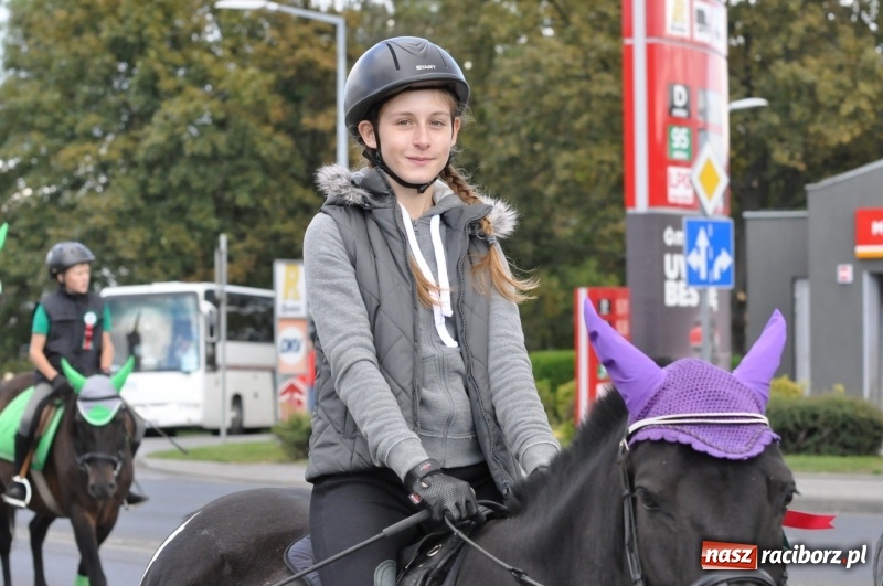Zdjęcie w galerii na portalu naszraciborz.pl: Raciborski Hubertus 2018. Przemarsz przez miasto i pogoń za lisem wiadomości z regionu