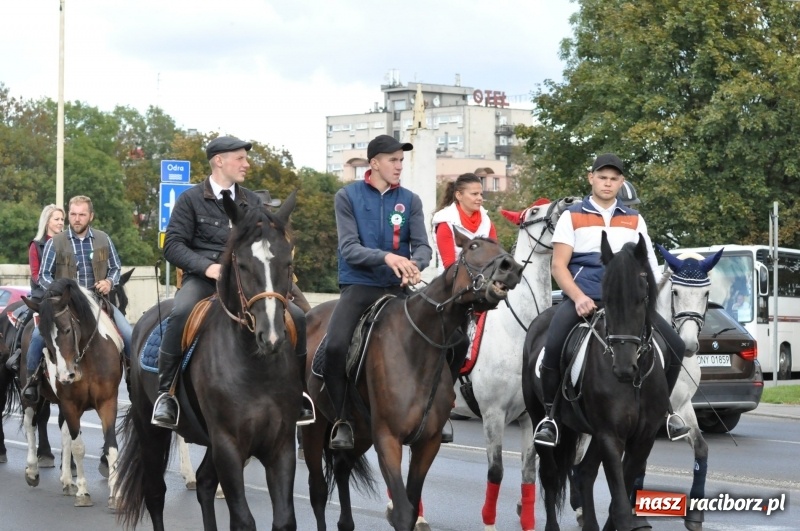 Zdjęcie w galerii na portalu naszraciborz.pl: Raciborski Hubertus 2018. Przemarsz przez miasto i pogoń za lisem wiadomości z regionu