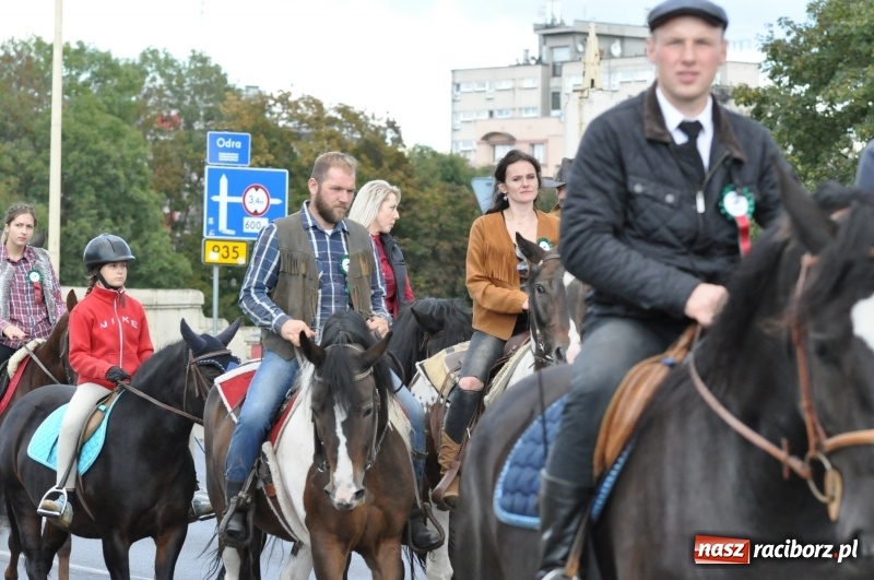 Zdjęcie w galerii na portalu naszraciborz.pl: Raciborski Hubertus 2018. Przemarsz przez miasto i pogoń za lisem wiadomości z regionu