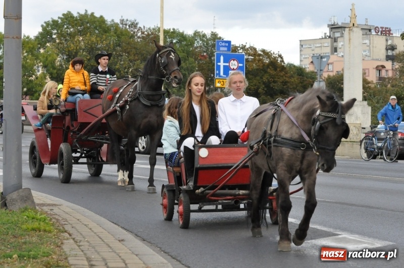 Zdjęcie w galerii na portalu naszraciborz.pl: Raciborski Hubertus 2018. Przemarsz przez miasto i pogoń za lisem wiadomości z regionu