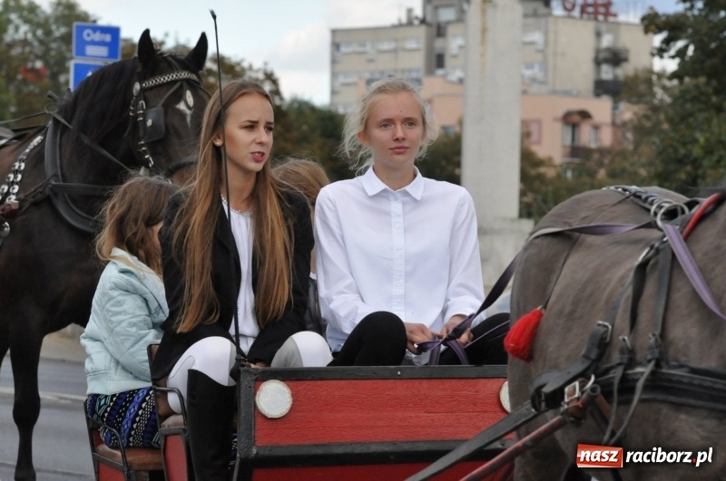 Zdjęcie w galerii na portalu naszraciborz.pl: Raciborski Hubertus 2018. Przemarsz przez miasto i pogoń za lisem wiadomości z regionu