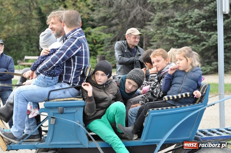 Zdjęcie w galerii na portalu naszraciborz.pl: Raciborski Hubertus 2018. Przemarsz przez miasto i pogoń za lisem wiadomości z regionu