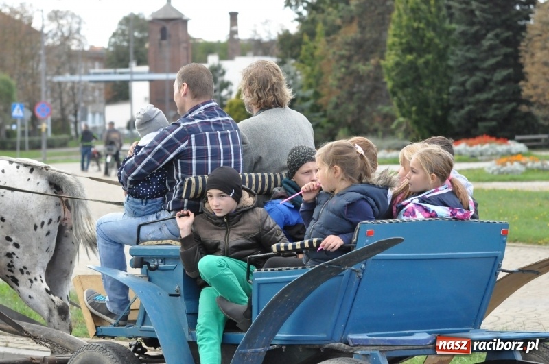 Zdjęcie w galerii na portalu naszraciborz.pl: Raciborski Hubertus 2018. Przemarsz przez miasto i pogoń za lisem wiadomości z regionu
