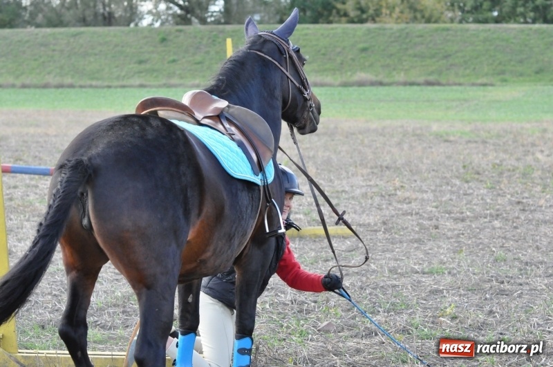 Zdjęcie w galerii na portalu naszraciborz.pl: Raciborski Hubertus 2018. Przemarsz przez miasto i pogoń za lisem wiadomości z regionu