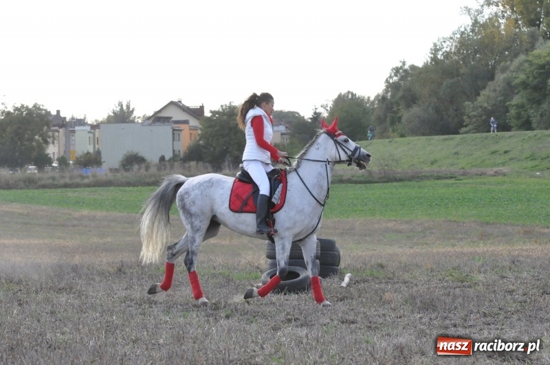Zdjęcie w galerii na portalu naszraciborz.pl: Raciborski Hubertus 2018. Przemarsz przez miasto i pogoń za lisem wiadomości z regionu