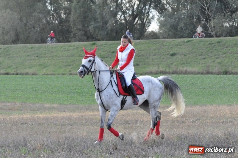 Zdjęcie w galerii na portalu naszraciborz.pl: Raciborski Hubertus 2018. Przemarsz przez miasto i pogoń za lisem wiadomości z regionu