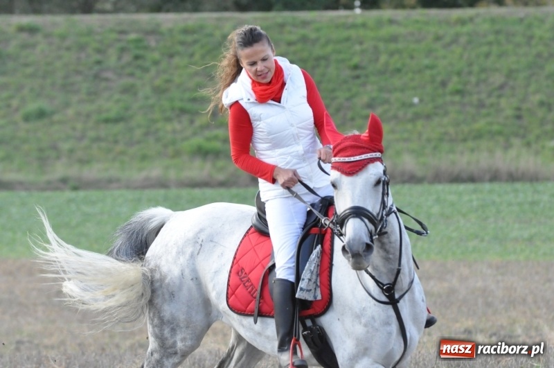 Zdjęcie w galerii na portalu naszraciborz.pl: Raciborski Hubertus 2018. Przemarsz przez miasto i pogoń za lisem wiadomości z regionu