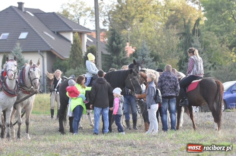 Zdjęcie w galerii na portalu naszraciborz.pl: Raciborski Hubertus 2018. Przemarsz przez miasto i pogoń za lisem wiadomości z regionu