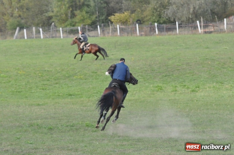 Zdjęcie w galerii na portalu naszraciborz.pl: Raciborski Hubertus 2018. Przemarsz przez miasto i pogoń za lisem wiadomości z regionu