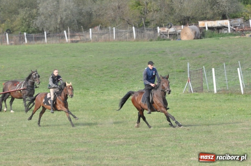 Zdjęcie w galerii na portalu naszraciborz.pl: Raciborski Hubertus 2018. Przemarsz przez miasto i pogoń za lisem wiadomości z regionu