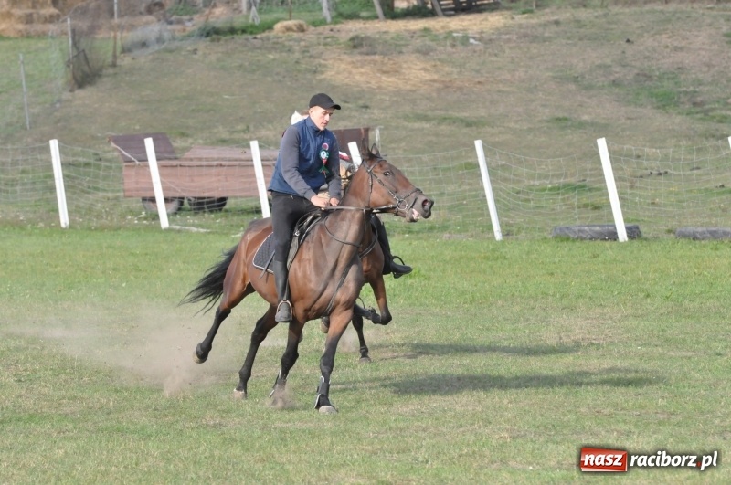 Zdjęcie w galerii na portalu naszraciborz.pl: Raciborski Hubertus 2018. Przemarsz przez miasto i pogoń za lisem wiadomości z regionu
