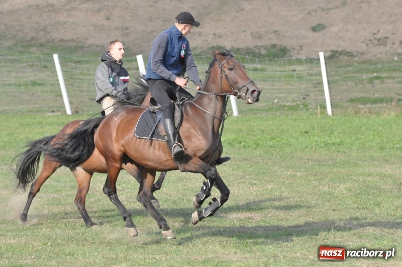 Zdjęcie w galerii na portalu naszraciborz.pl: Raciborski Hubertus 2018. Przemarsz przez miasto i pogoń za lisem wiadomości z regionu