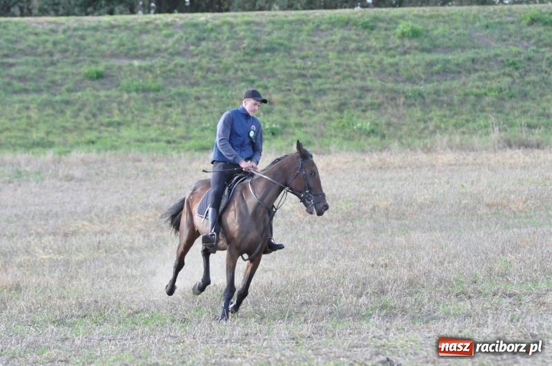 Zdjęcie w galerii na portalu naszraciborz.pl: Raciborski Hubertus 2018. Przemarsz przez miasto i pogoń za lisem wiadomości z regionu