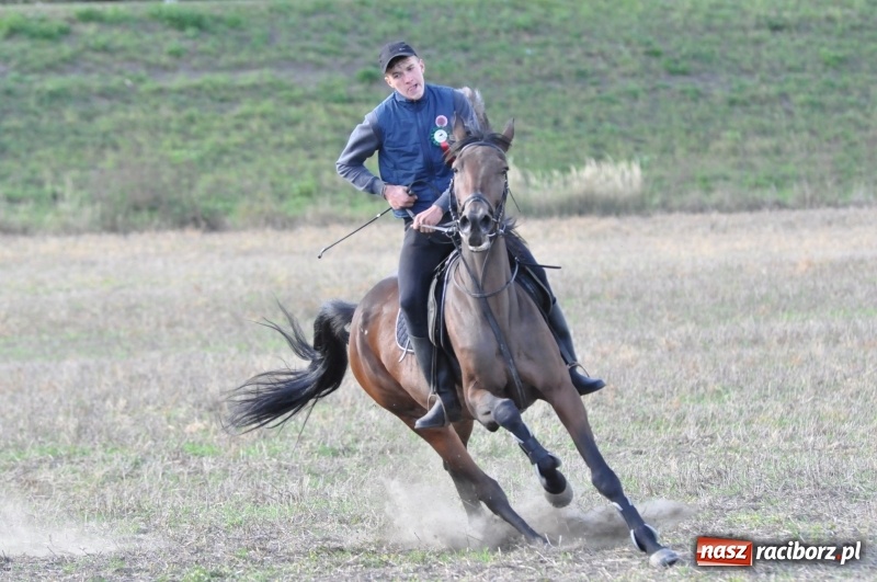 Zdjęcie w galerii na portalu naszraciborz.pl: Raciborski Hubertus 2018. Przemarsz przez miasto i pogoń za lisem wiadomości z regionu