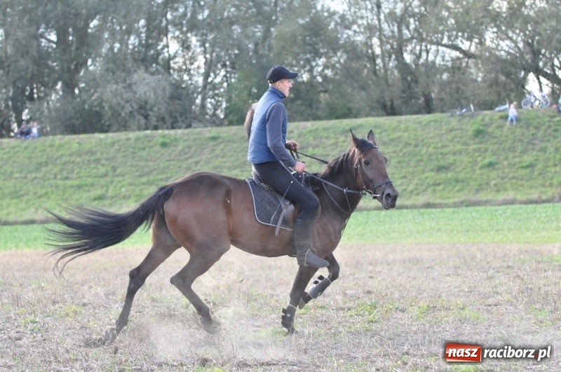 Zdjęcie w galerii na portalu naszraciborz.pl: Raciborski Hubertus 2018. Przemarsz przez miasto i pogoń za lisem wiadomości z regionu