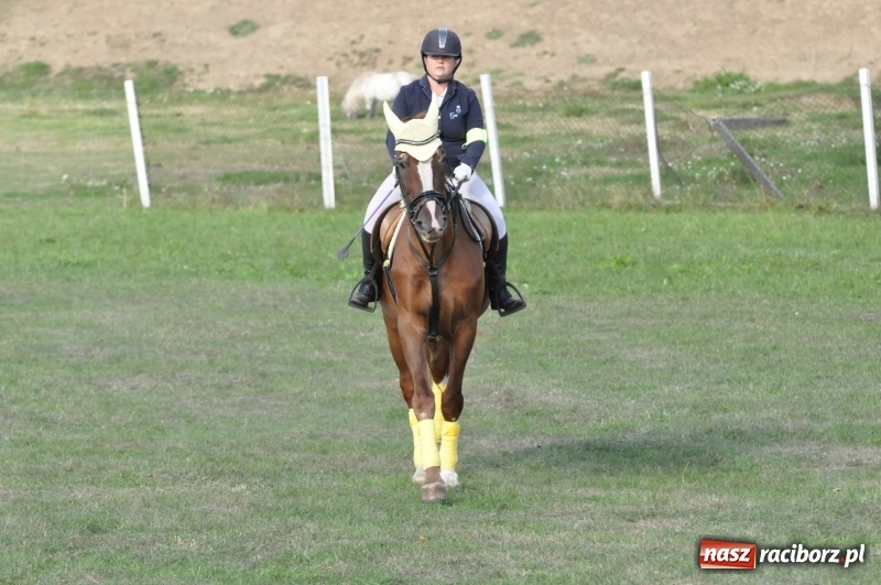 Zdjęcie w galerii na portalu naszraciborz.pl: Raciborski Hubertus 2018. Przemarsz przez miasto i pogoń za lisem wiadomości z regionu