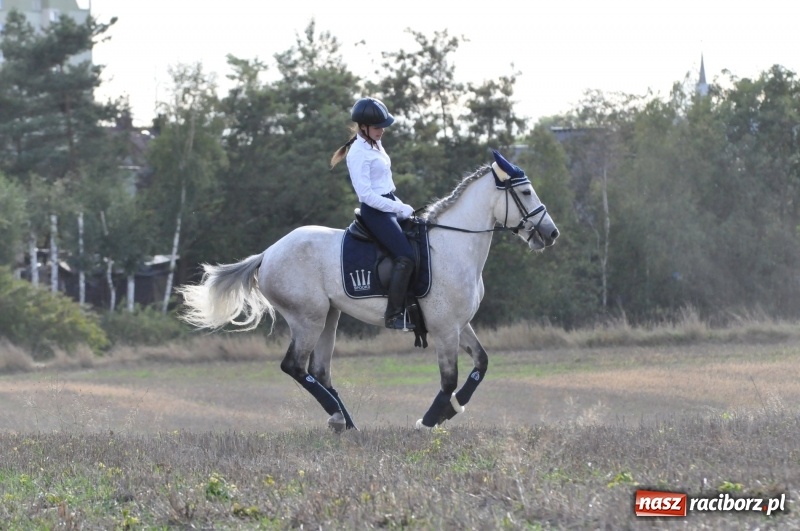 Zdjęcie w galerii na portalu naszraciborz.pl: Raciborski Hubertus 2018. Przemarsz przez miasto i pogoń za lisem wiadomości z regionu