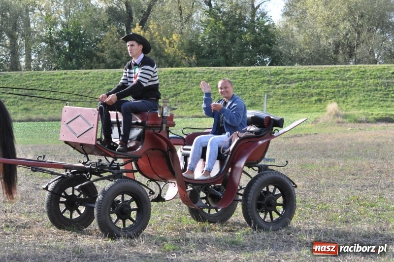 Zdjęcie w galerii na portalu naszraciborz.pl: Raciborski Hubertus 2018. Przemarsz przez miasto i pogoń za lisem wiadomości z regionu