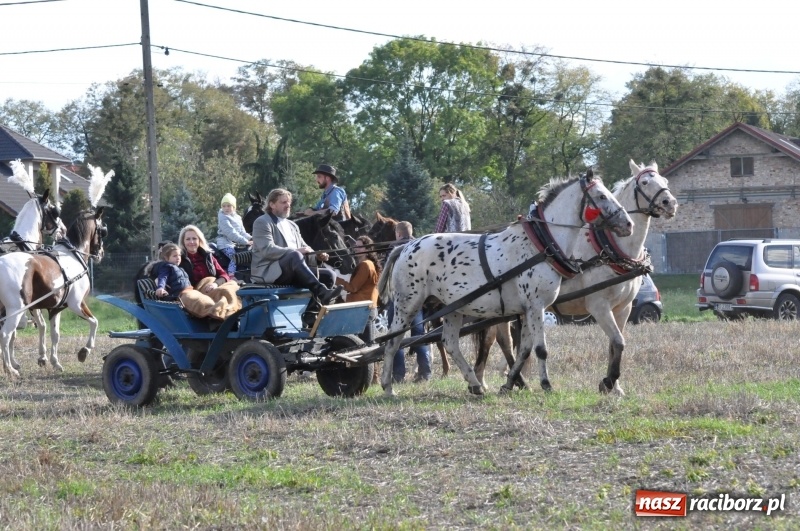 Zdjęcie w galerii na portalu naszraciborz.pl: Raciborski Hubertus 2018. Przemarsz przez miasto i pogoń za lisem wiadomości z regionu