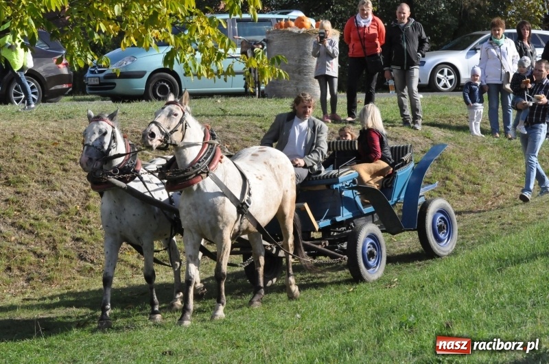 Zdjęcie w galerii na portalu naszraciborz.pl: Raciborski Hubertus 2018. Przemarsz przez miasto i pogoń za lisem wiadomości z regionu