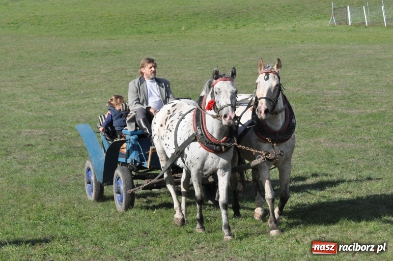 Zdjęcie w galerii na portalu naszraciborz.pl: Raciborski Hubertus 2018. Przemarsz przez miasto i pogoń za lisem wiadomości z regionu