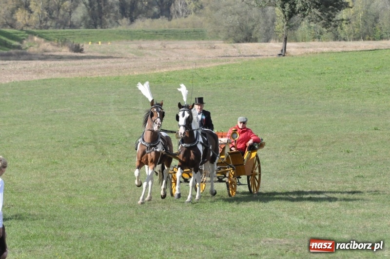 Zdjęcie w galerii na portalu naszraciborz.pl: Raciborski Hubertus 2018. Przemarsz przez miasto i pogoń za lisem wiadomości z regionu