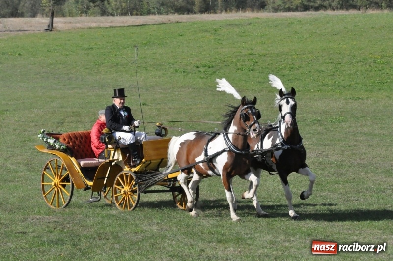 Zdjęcie w galerii na portalu naszraciborz.pl: Raciborski Hubertus 2018. Przemarsz przez miasto i pogoń za lisem wiadomości z regionu