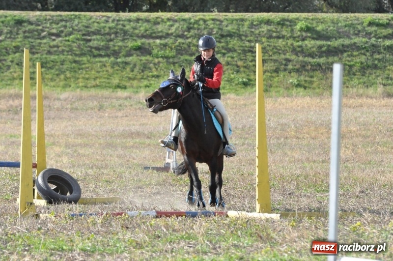 Zdjęcie w galerii na portalu naszraciborz.pl: Raciborski Hubertus 2018. Przemarsz przez miasto i pogoń za lisem wiadomości z regionu