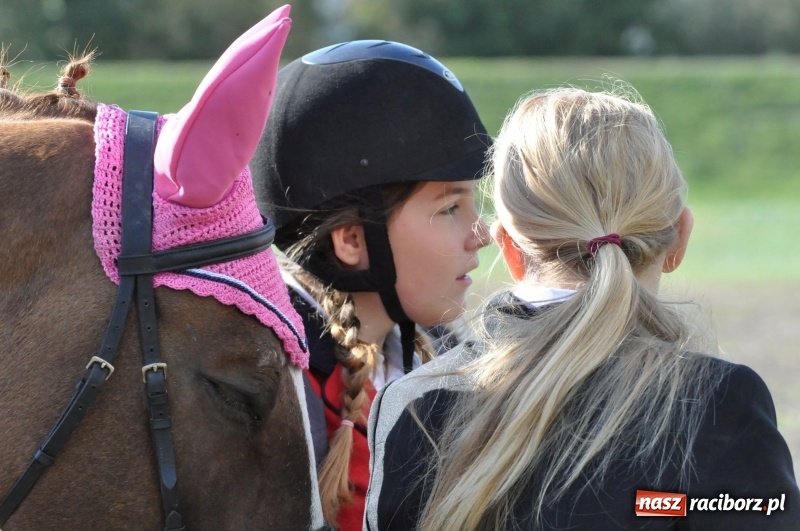 Zdjęcie w galerii na portalu naszraciborz.pl: Raciborski Hubertus 2018. Przemarsz przez miasto i pogoń za lisem wiadomości z regionu