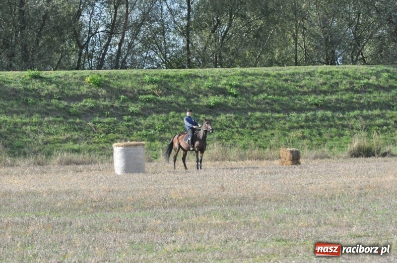 Zdjęcie w galerii na portalu naszraciborz.pl: Raciborski Hubertus 2018. Przemarsz przez miasto i pogoń za lisem wiadomości z regionu