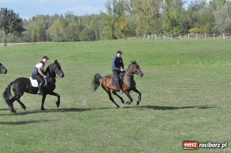 Zdjęcie w galerii na portalu naszraciborz.pl: Raciborski Hubertus 2018. Przemarsz przez miasto i pogoń za lisem wiadomości z regionu