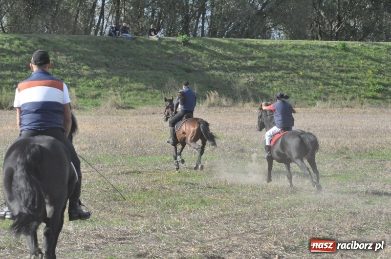 Zdjęcie w galerii na portalu naszraciborz.pl: Raciborski Hubertus 2018. Przemarsz przez miasto i pogoń za lisem wiadomości z regionu