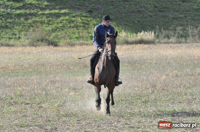 Zdjęcie w galerii na portalu naszraciborz.pl: Raciborski Hubertus 2018. Przemarsz przez miasto i pogoń za lisem wiadomości z regionu