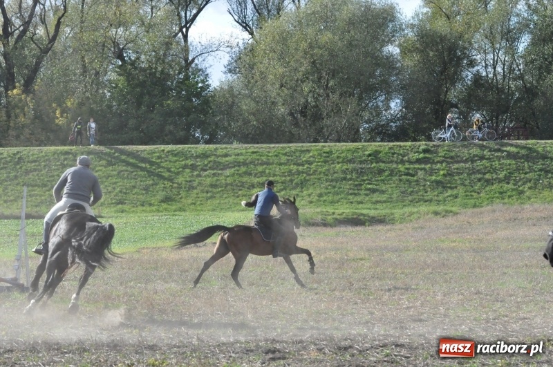 Zdjęcie w galerii na portalu naszraciborz.pl: Raciborski Hubertus 2018. Przemarsz przez miasto i pogoń za lisem wiadomości z regionu
