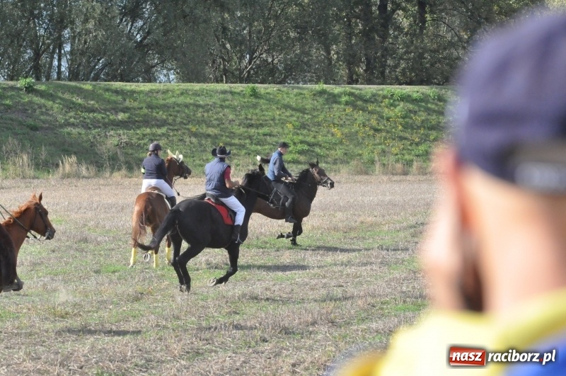 Zdjęcie w galerii na portalu naszraciborz.pl: Raciborski Hubertus 2018. Przemarsz przez miasto i pogoń za lisem wiadomości z regionu