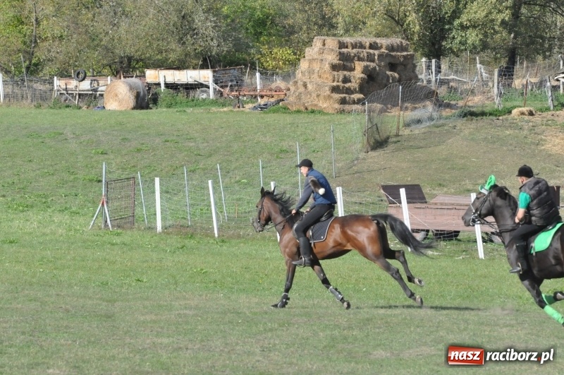 Zdjęcie w galerii na portalu naszraciborz.pl: Raciborski Hubertus 2018. Przemarsz przez miasto i pogoń za lisem wiadomości z regionu