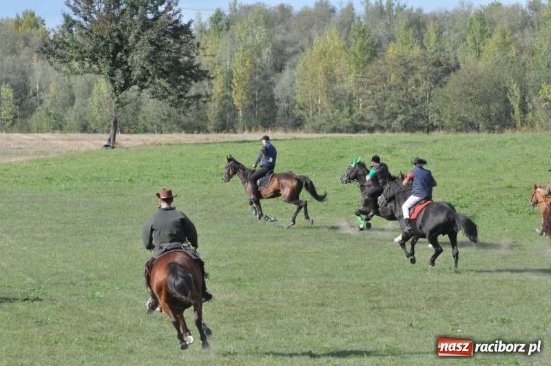 Zdjęcie w galerii na portalu naszraciborz.pl: Raciborski Hubertus 2018. Przemarsz przez miasto i pogoń za lisem wiadomości z regionu