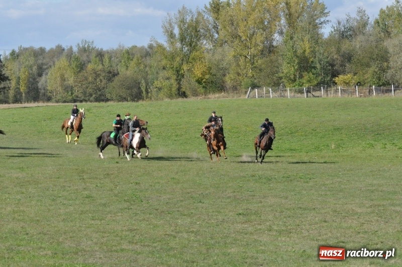 Zdjęcie w galerii na portalu naszraciborz.pl: Raciborski Hubertus 2018. Przemarsz przez miasto i pogoń za lisem wiadomości z regionu