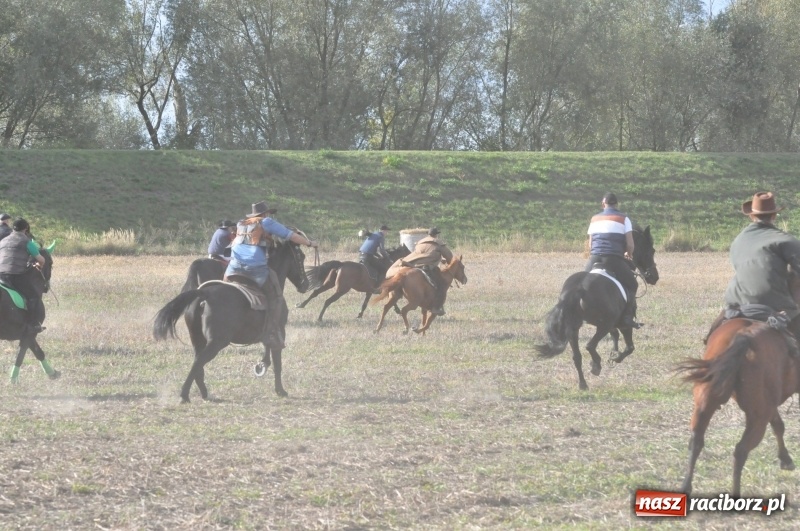 Zdjęcie w galerii na portalu naszraciborz.pl: Raciborski Hubertus 2018. Przemarsz przez miasto i pogoń za lisem wiadomości z regionu
