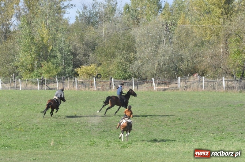 Zdjęcie w galerii na portalu naszraciborz.pl: Raciborski Hubertus 2018. Przemarsz przez miasto i pogoń za lisem wiadomości z regionu