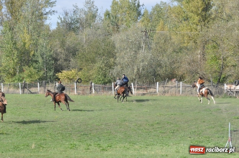 Zdjęcie w galerii na portalu naszraciborz.pl: Raciborski Hubertus 2018. Przemarsz przez miasto i pogoń za lisem wiadomości z regionu