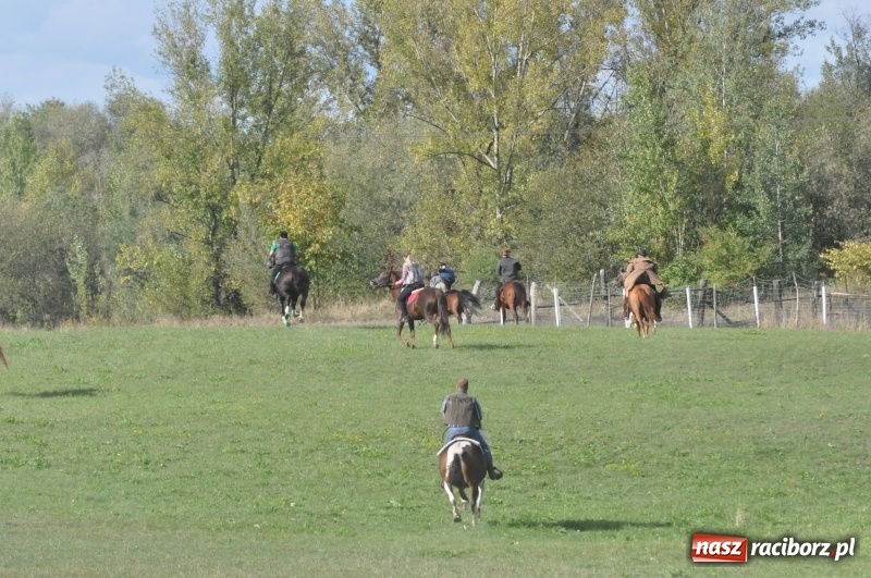 Zdjęcie w galerii na portalu naszraciborz.pl: Raciborski Hubertus 2018. Przemarsz przez miasto i pogoń za lisem wiadomości z regionu