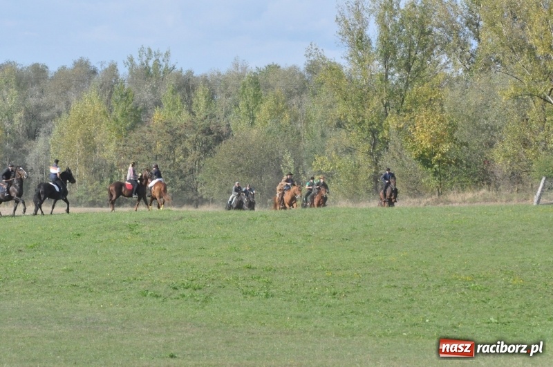 Zdjęcie w galerii na portalu naszraciborz.pl: Raciborski Hubertus 2018. Przemarsz przez miasto i pogoń za lisem wiadomości z regionu