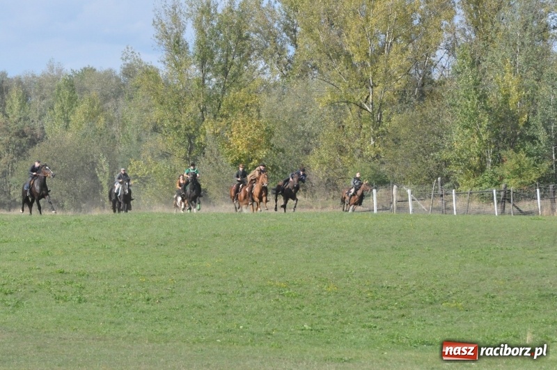 Zdjęcie w galerii na portalu naszraciborz.pl: Raciborski Hubertus 2018. Przemarsz przez miasto i pogoń za lisem wiadomości z regionu